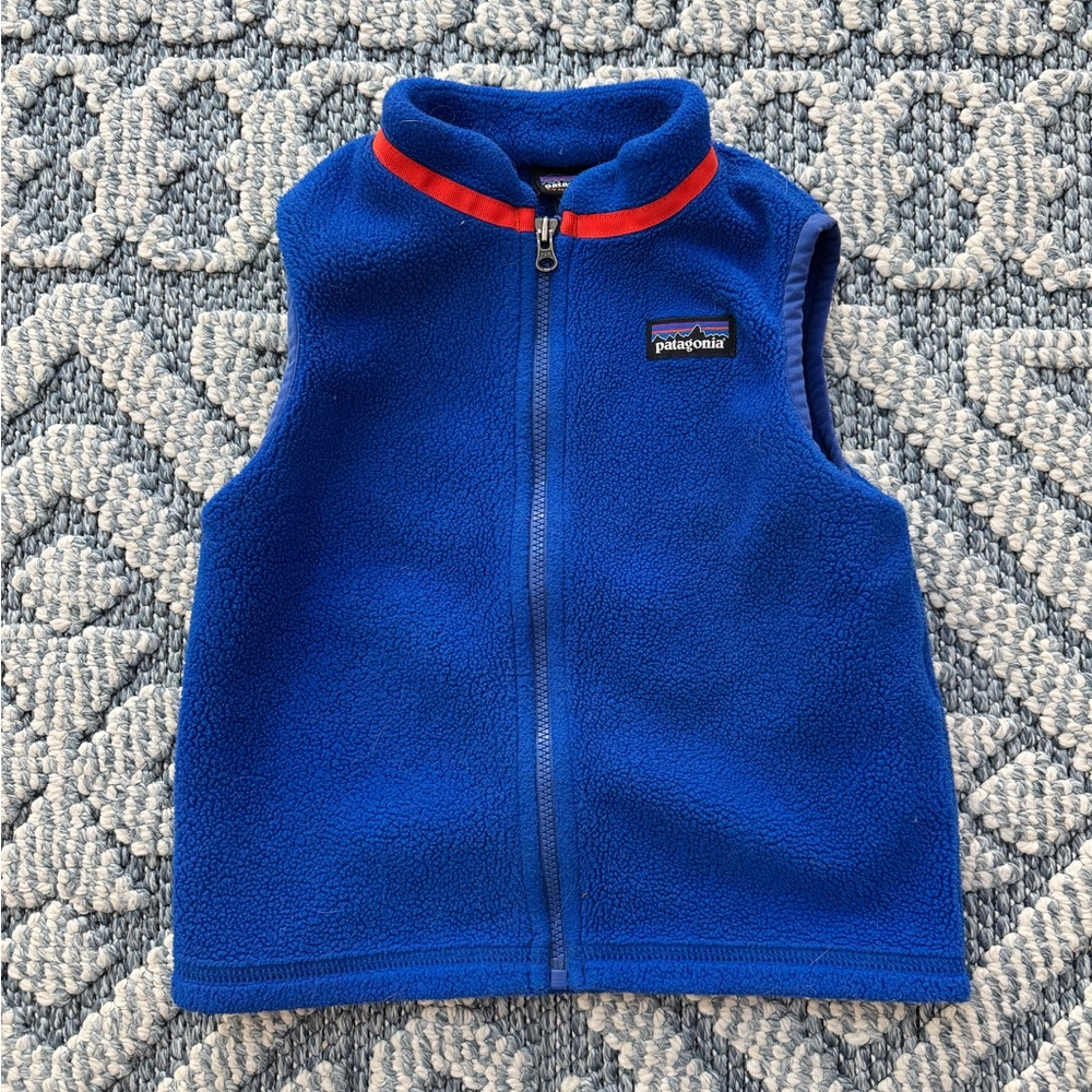 Patagonia Blue Fleece Vest